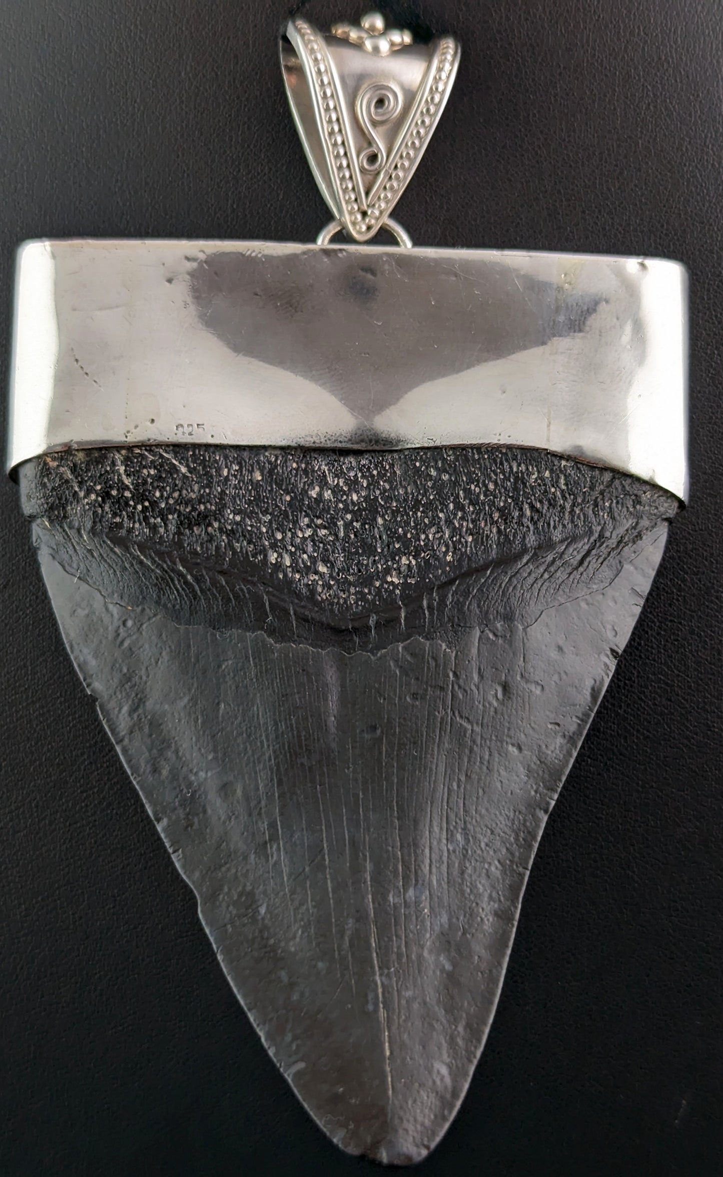 Vintage silver fossil pendant, Megalodon tooth