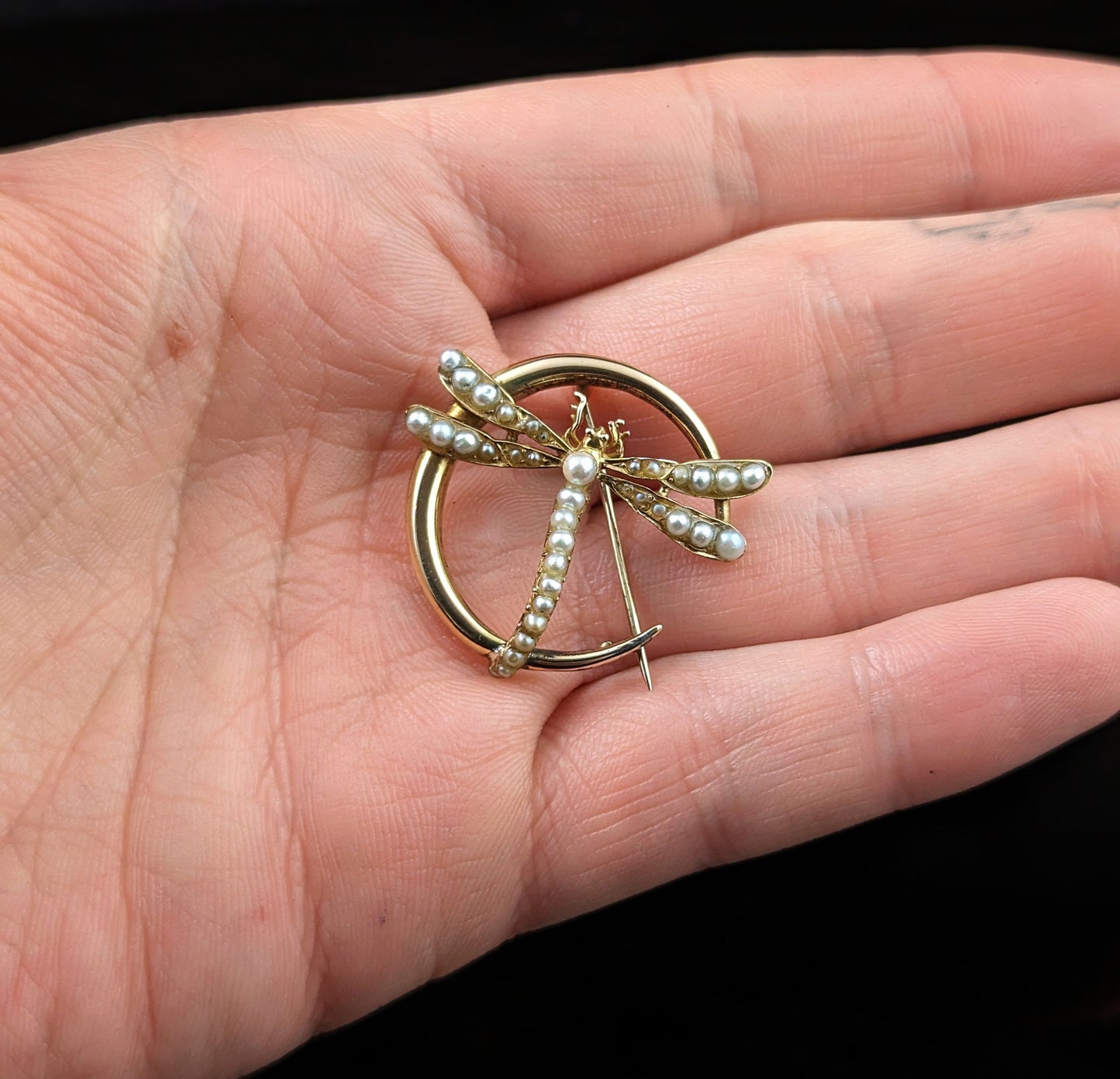 Antique 9ct gold Crescent moon and Dragonfly brooch, Pearl