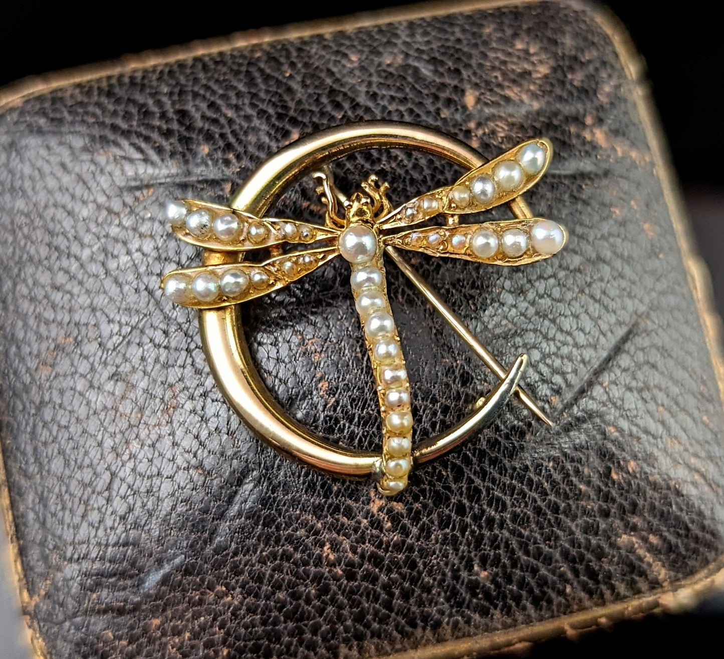 Antique 9ct gold Crescent moon and Dragonfly brooch, Pearl